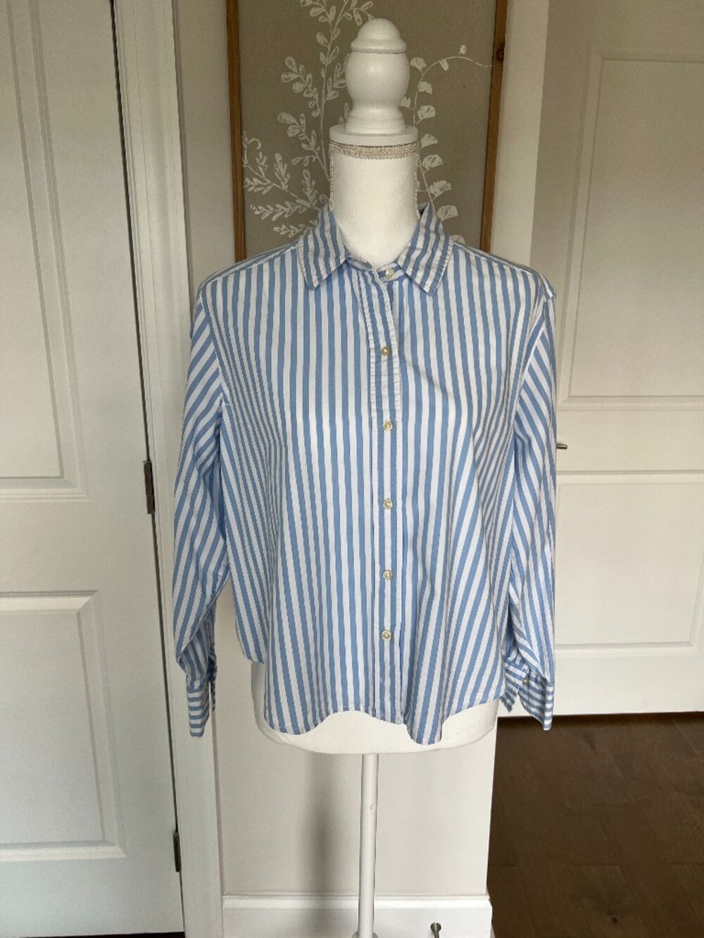Blue & White Striped Shirt